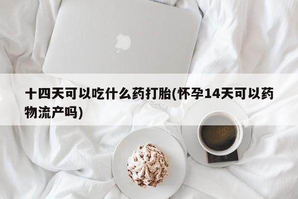 买流产药打胎药保密发货十四天可以吃什么药打胎(怀孕14天可以药物流产吗)